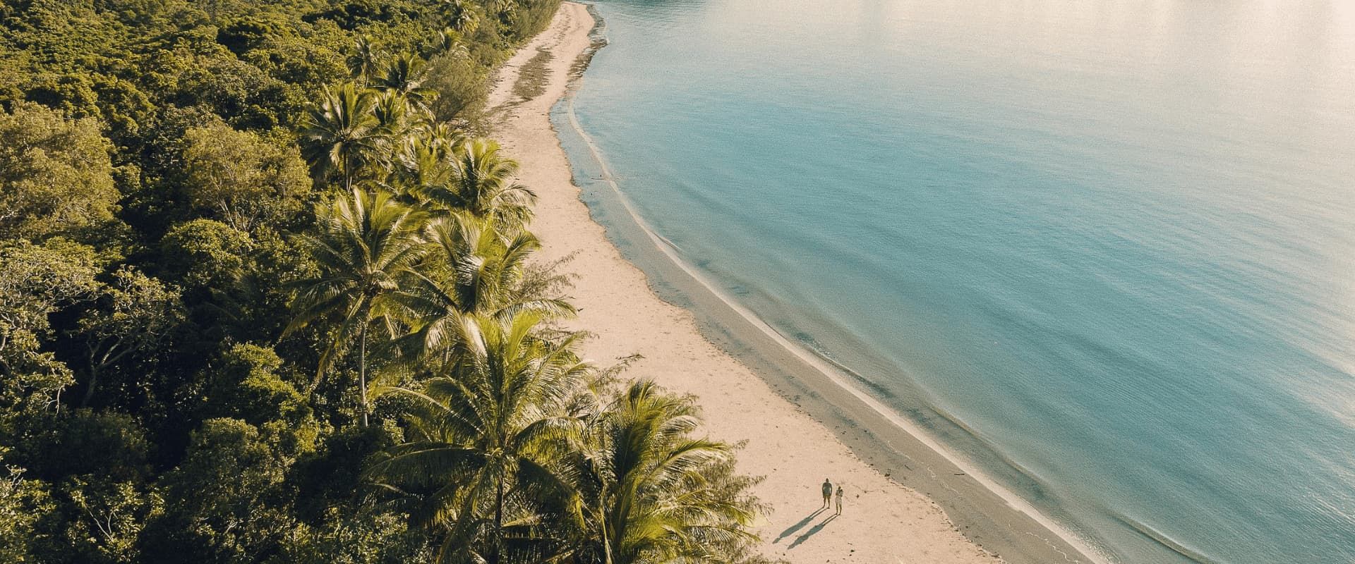 Drone Shot Of Couple Walking On Sandy Beach Next To Lush Tropical Rainforest